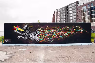 Web Galeri: Skount