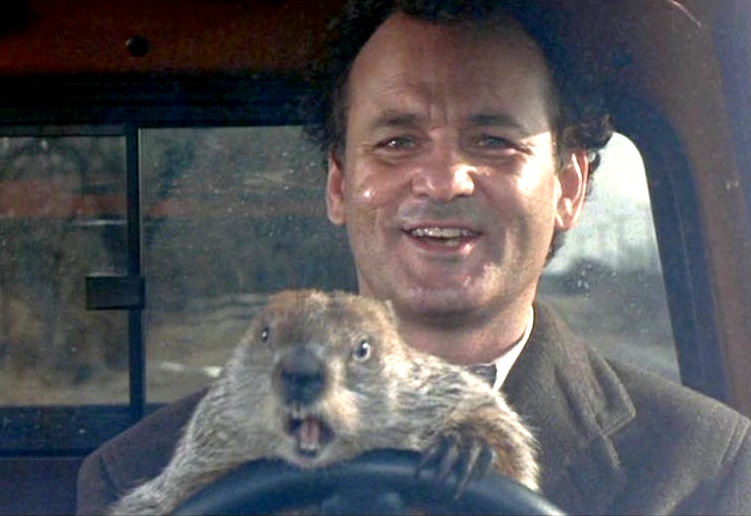 groundhog-day-bill-murray-phil