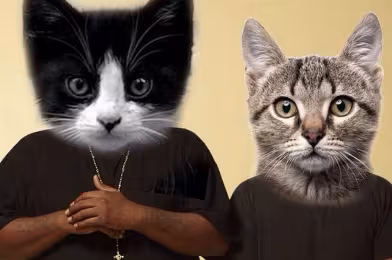 Run The Jewels'ın kedi temalı parçasına Just Blaze remiksi!