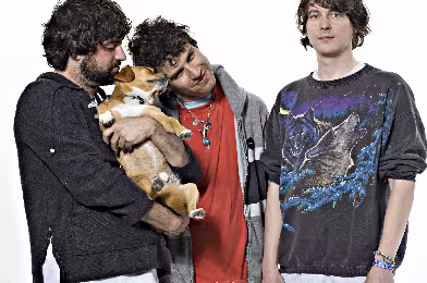 Animal Collective 