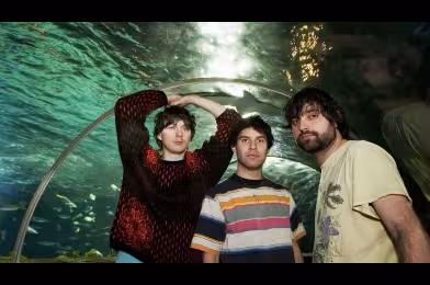 Günün şarkısı: Animal Collective - FloriDada