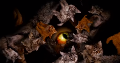 Run The Jewels’dan bol kedili bir video daha: “Meowpurrdy”