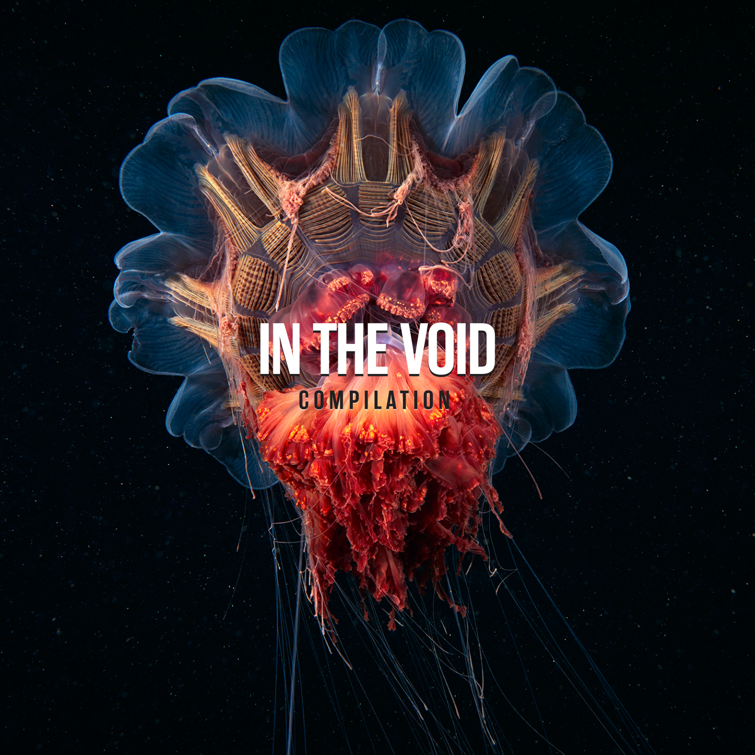 Decltype. In the Void. The Void значок. Voices of the Void. CHAOSPIN.