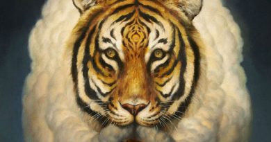 Web Galeri: Martin Wittfooth