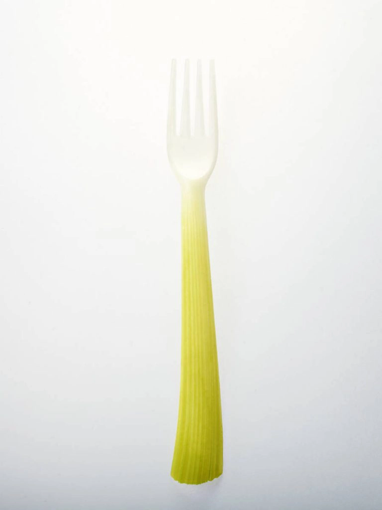 petalsplantsinspiredcutlery-4-900x1200