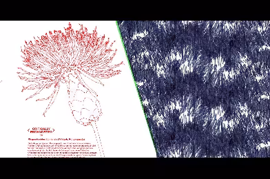 Tasarım Bakkalı'nda haziran konuğu 