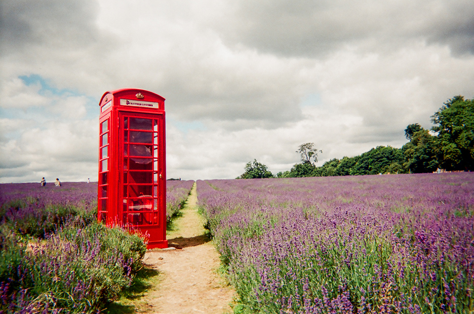 London-calling-by-Hugh-Gary