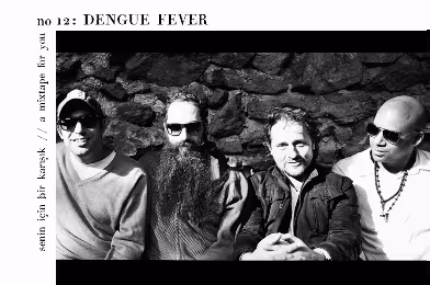 Senin İçin Bir Karışık / A Mixtape For You #12: Dengue Fever