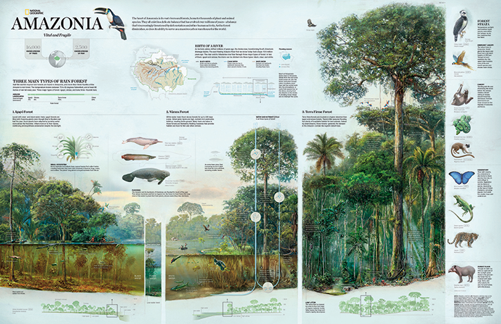 National-Geographic-Infographic-Tacshen-INT-9