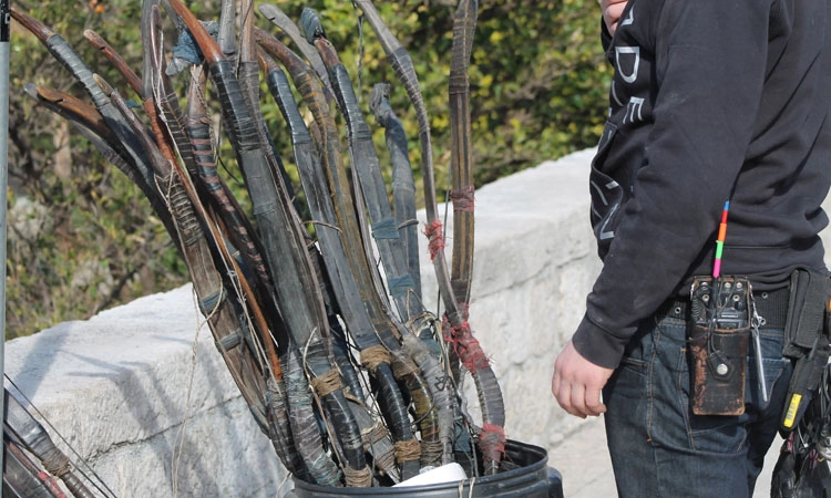 bows-and-arrows