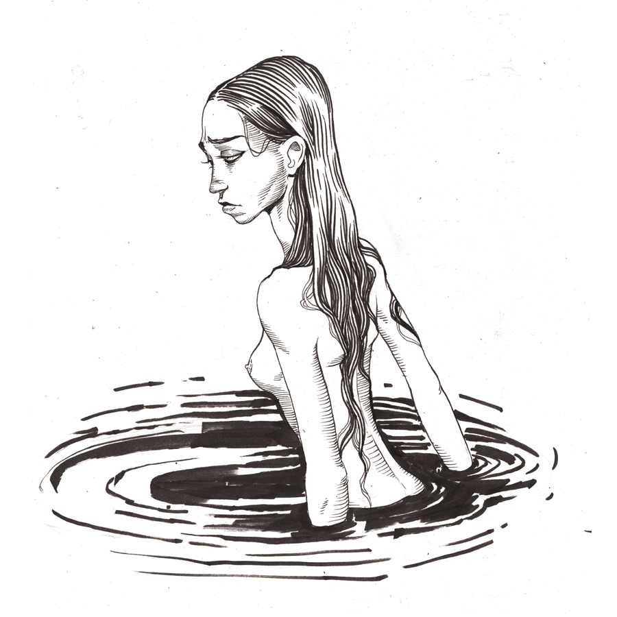 nilüfer - WEB