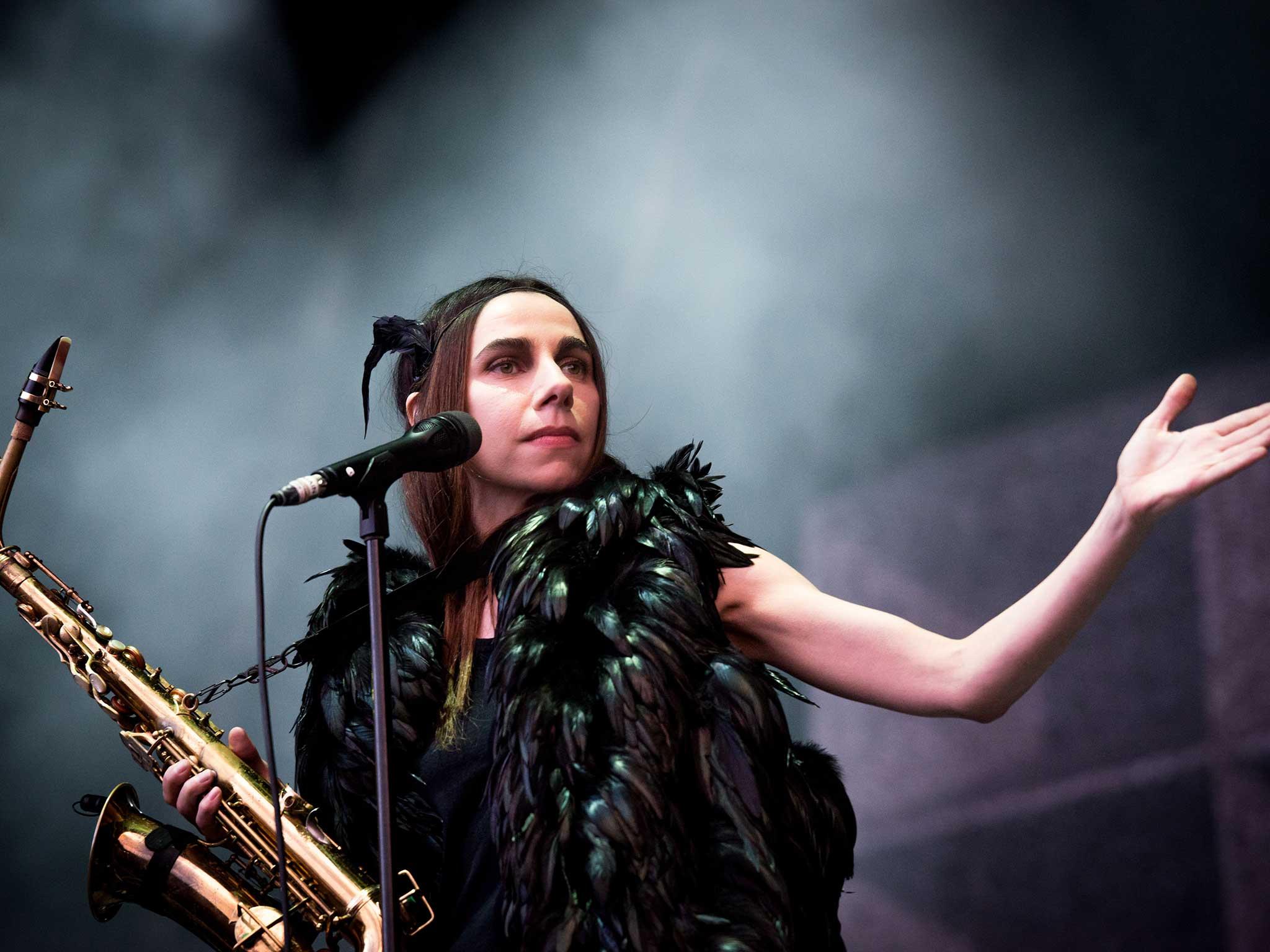 Pj harvey фото