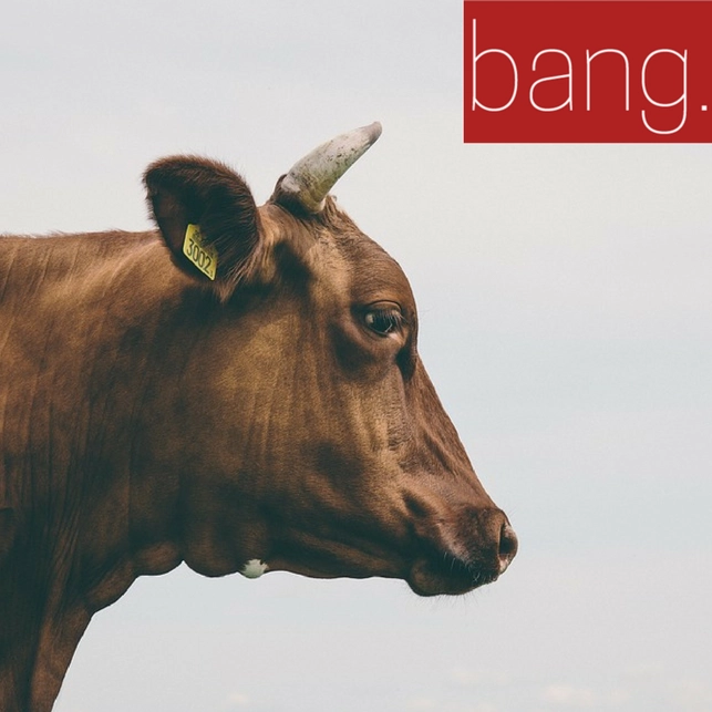 bangprixani