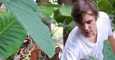 5 albümünden 5 şarkıyla: John Maus