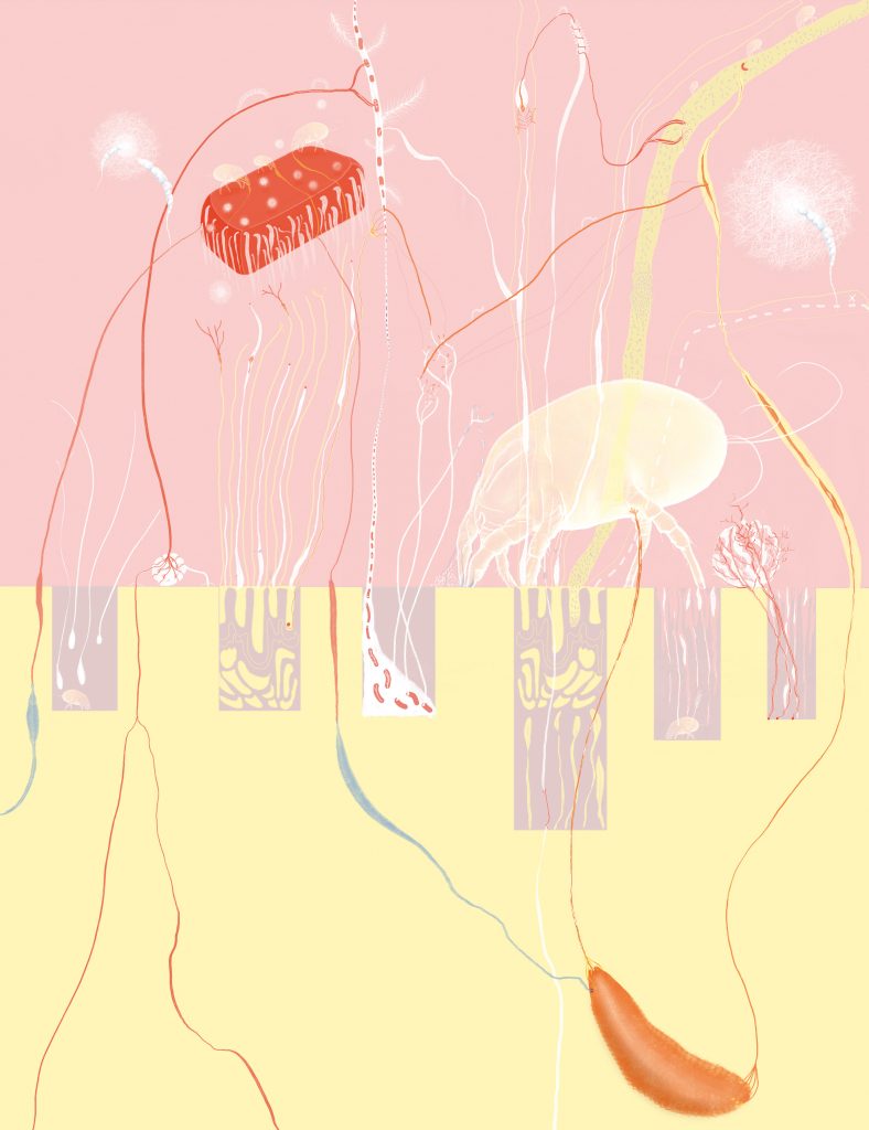 BOTANIC_HOSPITAL_microcosmos_70x91