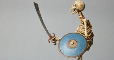 Stop-motion animasyonun öncüsü Ray Harryhausen’ın anısına dev sergi