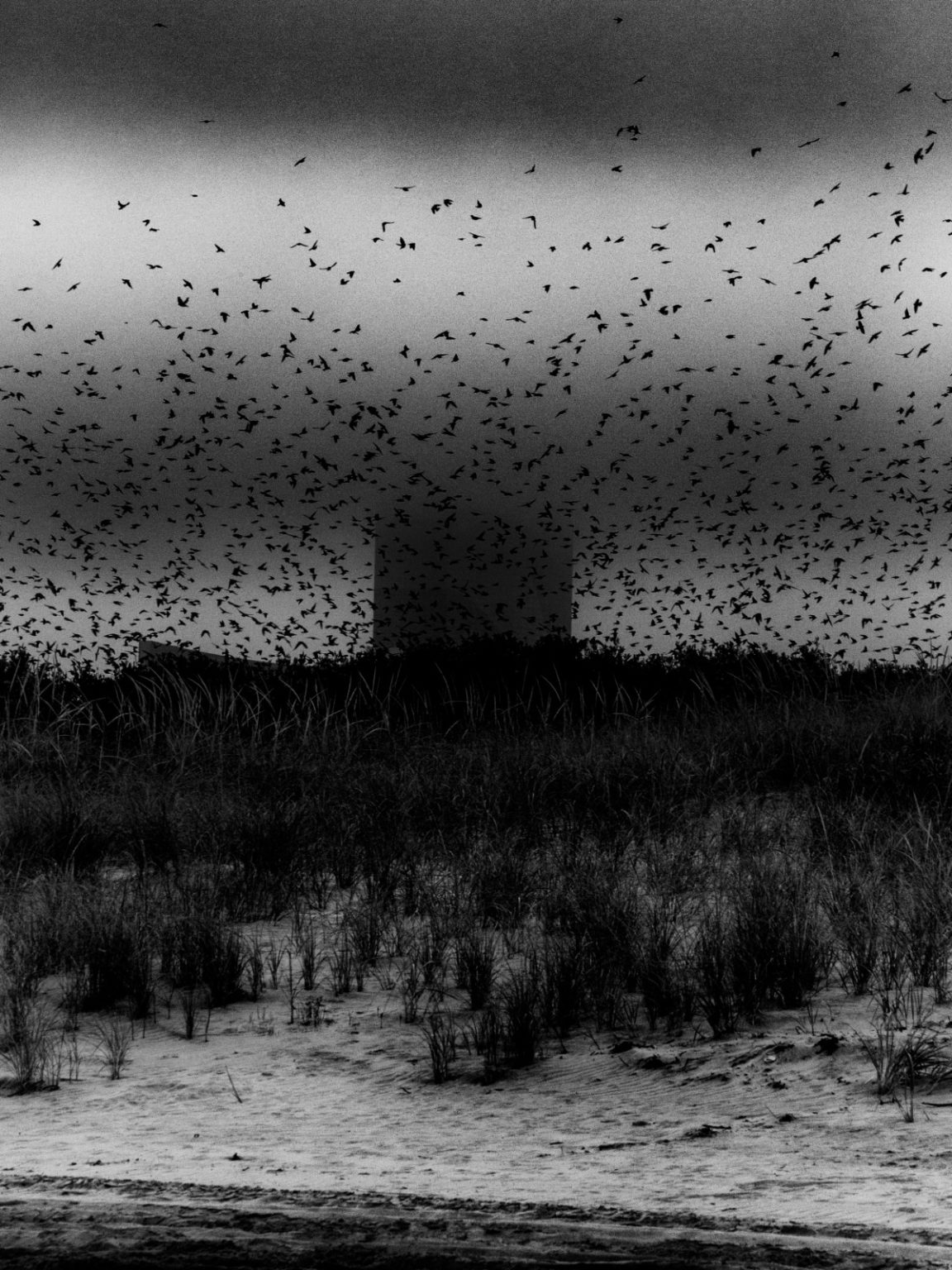 Devin Oktar Yalkın’ın Türkiye’deki ilk kişisel sergisi: Obsidyen - bant mag