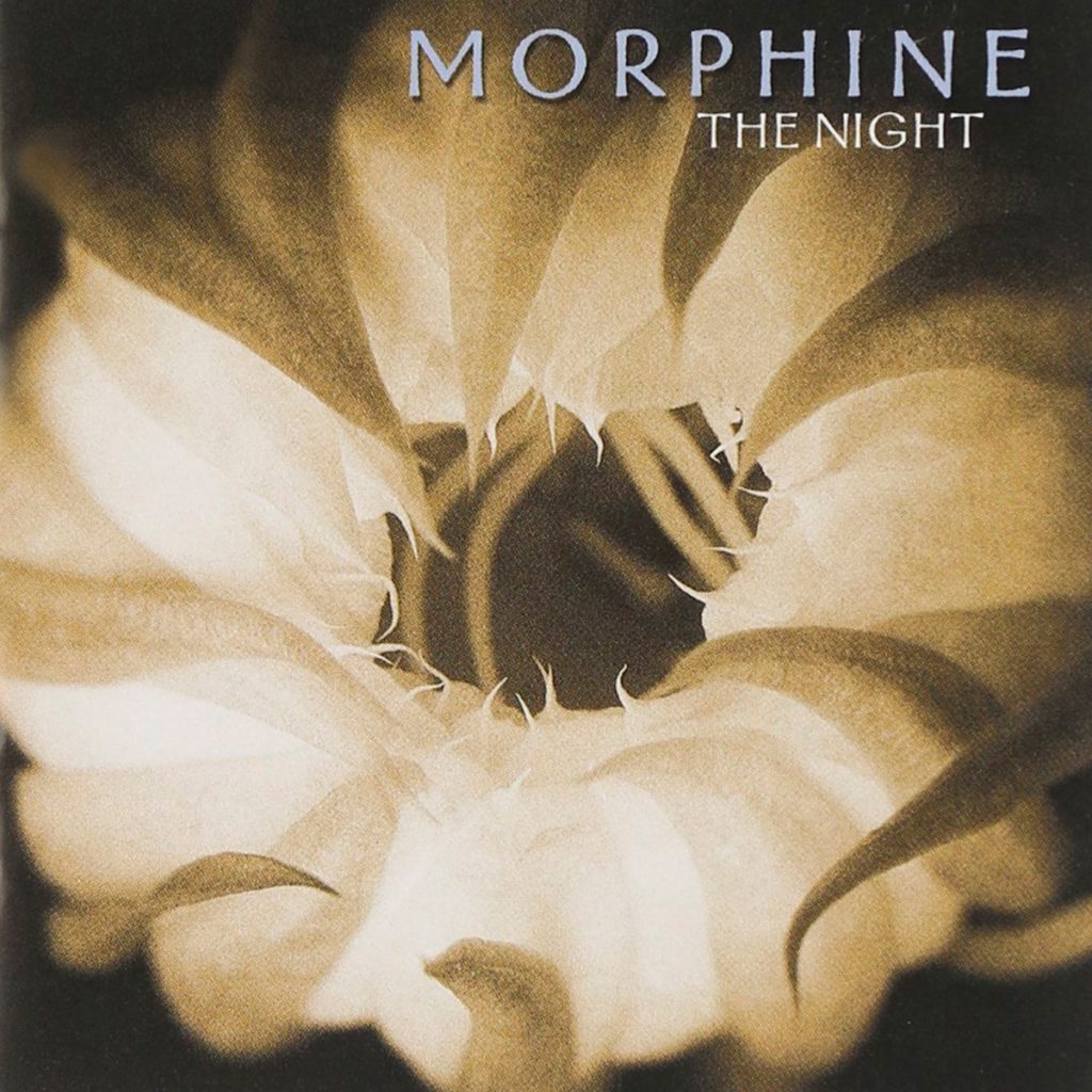 morphine gece