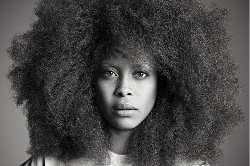 Erykah Badu için sırada bir Netflix filmi var