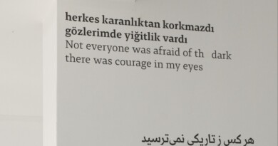 İranlı Kadınlar Konuşuyor, hafızalar aktarılıyor, duygular direniyor