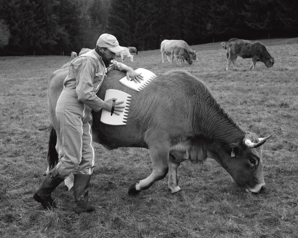 Thomas Rousset ve bir aile çiftliğinin büyülü potansiyeli bant mag