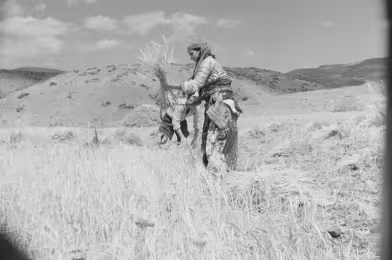 1950’ler Türkiye’sinden kültürel bellek katmanları: Karanlık Dünya