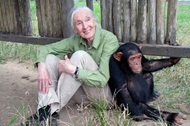Jane Goodall (1934-2025) der ki: “Ancak yardım edersek kurtuluruz.”