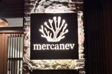 3 soruda Mercanev Ayvalık ve hikâyesi