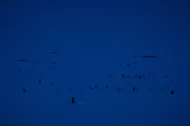 Günün kısası: Suspended in Space (2024)