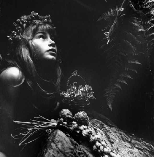 Web Galeri Ata Kando bant mag