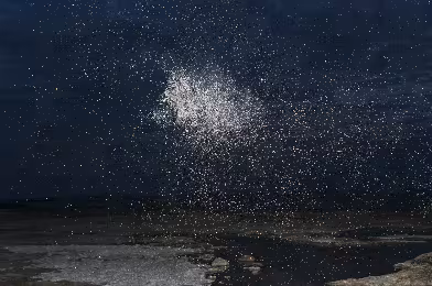 Web Galeri: Inka Lindergard & Niclas Holmström
