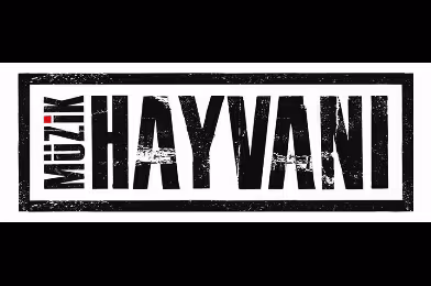 2014'e dair sorular: Müzik Hayvanı yanıtlıyor