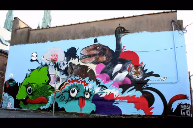 Web Galeri: Nosego