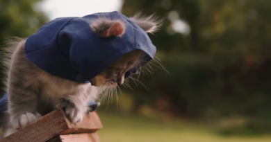 ''Assasin's Creed'' karakterleri kedi olsaydı: ''Assasin's Kittens Unity''