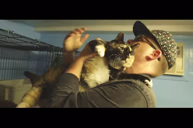 Video: El-P, ''Meow The Jewels'' albümü için kedilerle bir araya geldi!