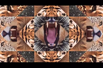 Animal Collective'den Shabazz Palaces remiksi