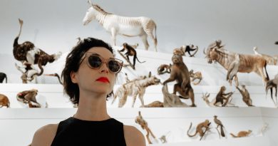 St.Vincent’tan yeni şarkı: “Teenage Talk”