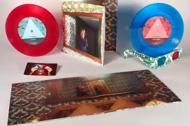 Karşınızda dünyanın “çalınabilir” ilk 3D gözlüğü: Ty Segall - “Mr. Face”