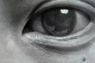 Web Galeri: Taisuke Mohri